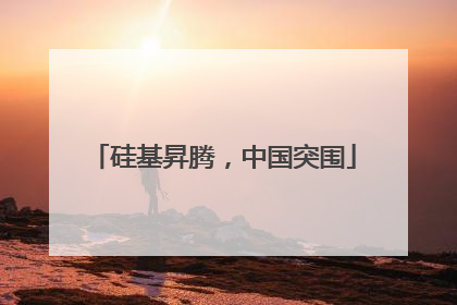 硅基昇腾，中国突围