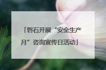 磐石开展“安全生产月”咨询宣传日活动
