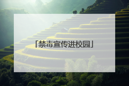 禁毒宣传进校园