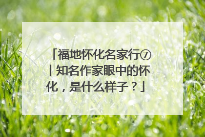 福地怀化名家行⑦丨知名作家眼中的怀化，是什么样子？