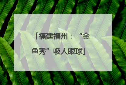 福建福州：“金鱼秀”吸人眼球