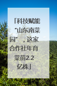 科技赋能“山东南菜园”，这家合作社年育菜苗2.2亿株