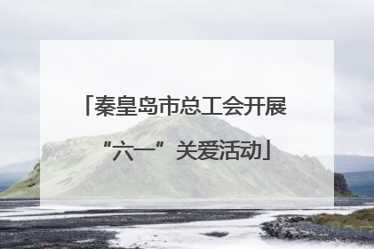 秦皇岛市总工会开展“六一”关爱活动
