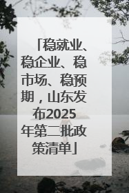 稳就业、稳企业、稳市场、稳预期，山东发布2025年第二批政策清单