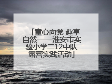 童心向党 趣享自然——淮安市实验小学二12中队露营实践活动