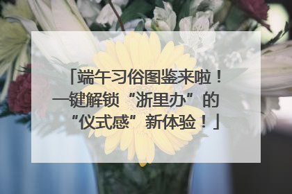 端午习俗图鉴来啦！一键解锁“浙里办”的“仪式感”新体验！