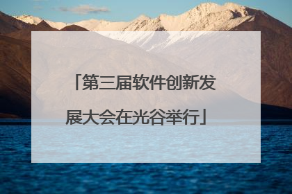 第三届软件创新发展大会在光谷举行