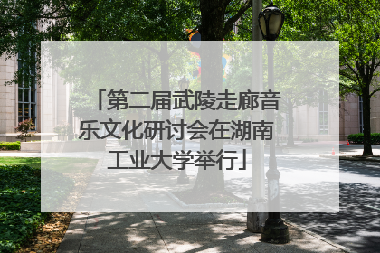 第二届武陵走廊音乐文化研讨会在湖南工业大学举行