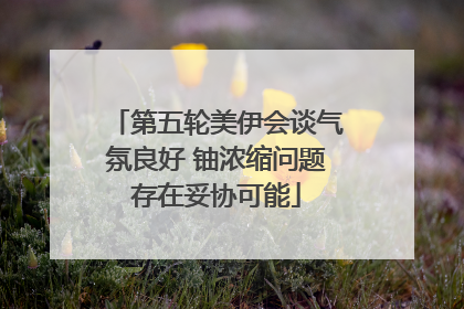 第五轮美伊会谈气氛良好 铀浓缩问题存在妥协可能