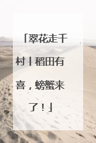 翠花走千村丨稻田有喜，螃蟹来了！