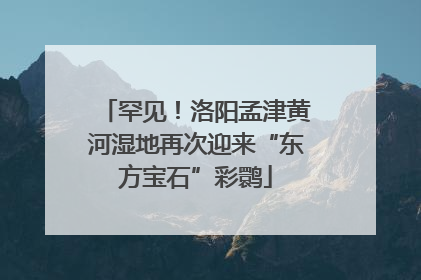 罕见！洛阳孟津黄河湿地再次迎来“东方宝石”彩鹮