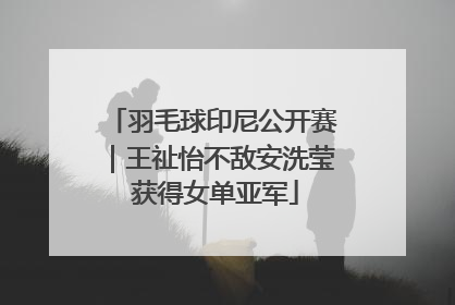 羽毛球印尼公开赛｜王祉怡不敌安洗莹 获得女单亚军