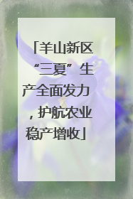 羊山新区“三夏”生产全面发力，护航农业稳产增收