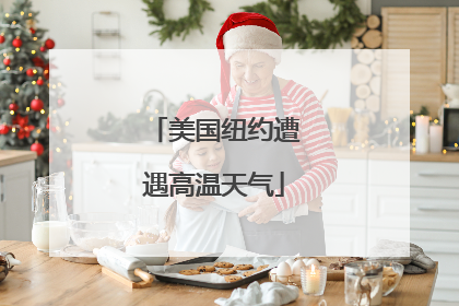 美国纽约遭遇高温天气