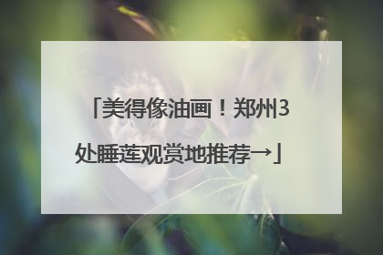 美得像油画！郑州3处睡莲观赏地推荐→