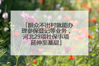 群众不出村就能办理参保登记等业务，河北29项社保事项延伸至基层