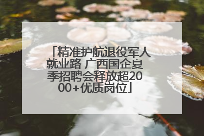 精准护航退役军人就业路 广西国企夏季招聘会释放超2000+优质岗位