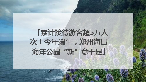 累计接待游客超5万人次！今年端午，郑州海昌海洋公园“新”意十足