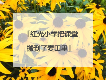 红光小学把课堂搬到了麦田里