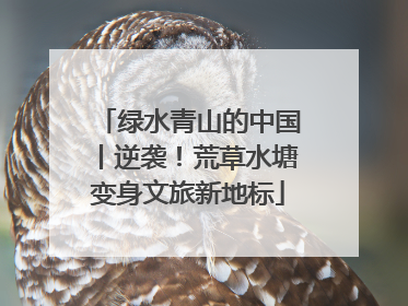 绿水青山的中国丨逆袭！荒草水塘变身文旅新地标