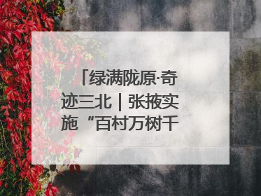 绿满陇原·奇迹三北｜张掖实施“百村万树千里林”工程