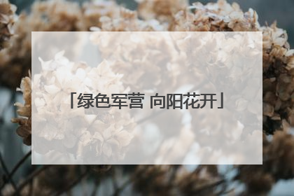绿色军营 向阳花开