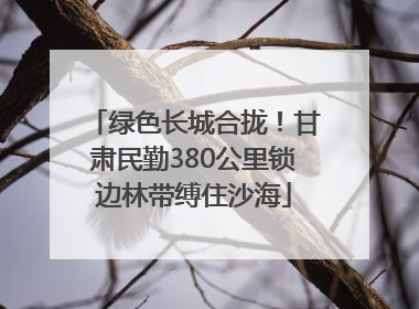 绿色长城合拢！甘肃民勤380公里锁边林带缚住沙海