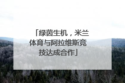 绿茵生机，米兰体育与阿拉维斯竞技达成合作