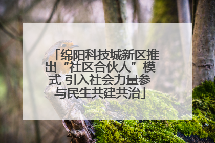绵阳科技城新区推出“社区合伙人”模式 引入社会力量参与民生共建共治