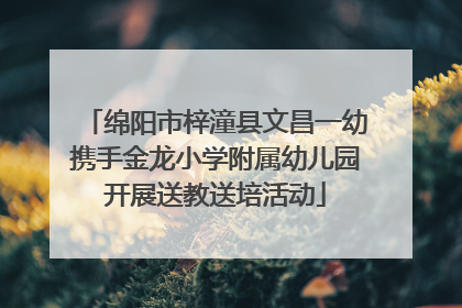 绵阳市梓潼县文昌一幼携手金龙小学附属幼儿园开展送教送培活动