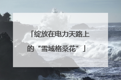 绽放在电力天路上的“雪域格桑花”