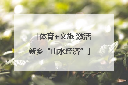 体育+文旅 激活新乡“山水经济”