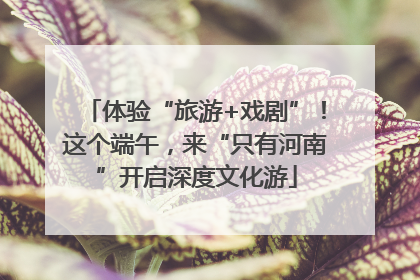 体验“旅游+戏剧”！这个端午，来“只有河南”开启深度文化游