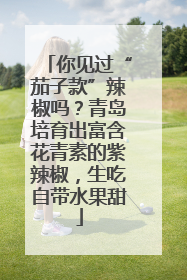 你见过“茄子款”辣椒吗？青岛培育出富含花青素的紫辣椒，生吃自带水果甜