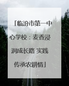 临汾市第一中心学校：麦香浸润成长路 实践传承农耕情