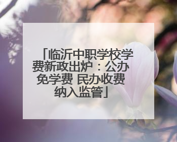 临沂中职学校学费新政出炉：公办免学费 民办收费纳入监管