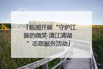 临湘开展“守护江豚的微笑·清江清湖”志愿服务活动