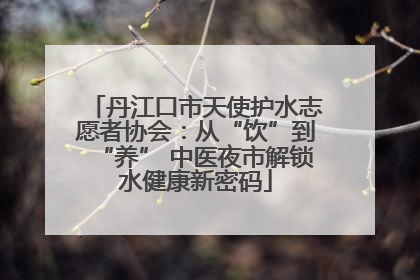 丹江口市天使护水志愿者协会：从“饮”到“养” 中医夜市解锁水健康新密码