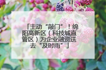 主动“敲门”！绵阳高新区（科技城直管区）为企业融资送去“及时雨”