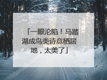 一眼沦陷！马踏湖成鸟类诗意栖居地，太美了