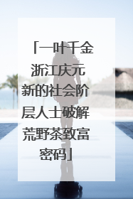 一叶千金 浙江庆元新的社会阶层人士破解荒野茶致富密码