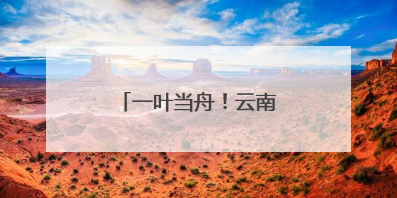 一叶当舟！云南这种神奇植物进入最佳观赏期