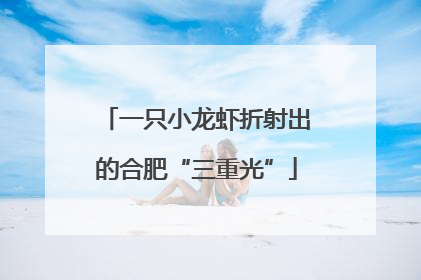 一只小龙虾折射出的合肥“三重光”