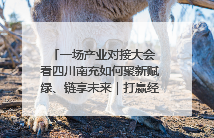 一场产业对接大会 看四川南充如何聚新赋绿、链享未来｜打赢经济发展翻身仗