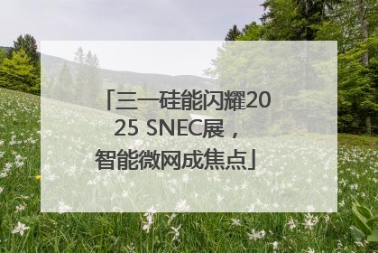 三一硅能闪耀2025 SNEC展，智能微网成焦点