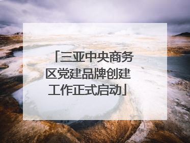 三亚中央商务区党建品牌创建工作正式启动