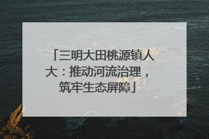 三明大田桃源镇人大：推动河流治理，筑牢生态屏障