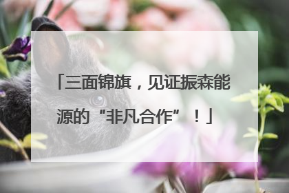 三面锦旗，见证振森能源的“非凡合作”！