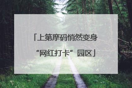 上第摩码悄然变身“网红打卡”园区
