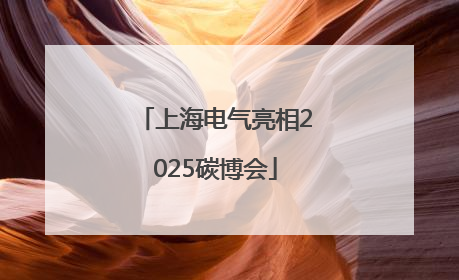 上海电气亮相2025碳博会